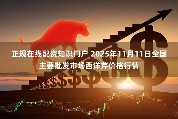 正规在线配资知识门户 2025年11月11日全国主要批发市场西洋芹价格行情