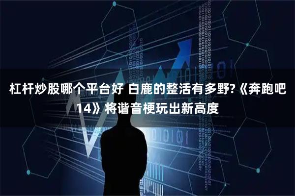 杠杆炒股哪个平台好 白鹿的整活有多野?《奔跑吧14》将谐音梗玩出新高度